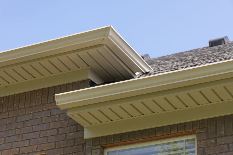 Repaired Soffit Panels